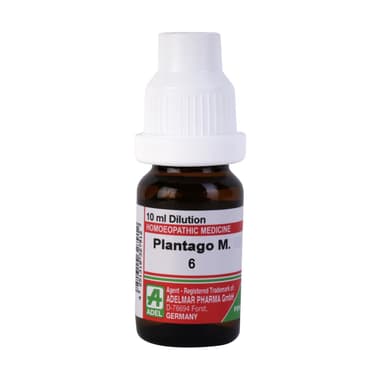 ADEL Plantago M. Dilution 6