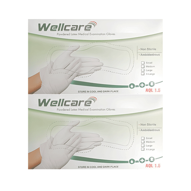 WellCare Powdered Latex Medical Examination Gloves (100 Each)