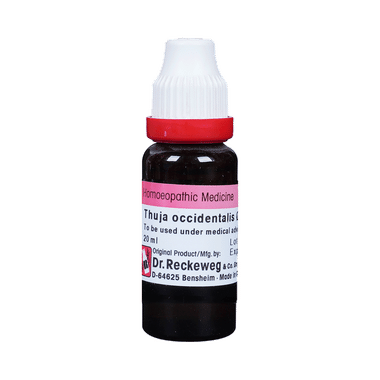 Dr. Reckeweg Thuja Occi Mother Tincture Q