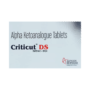 Criticut DS Tablet