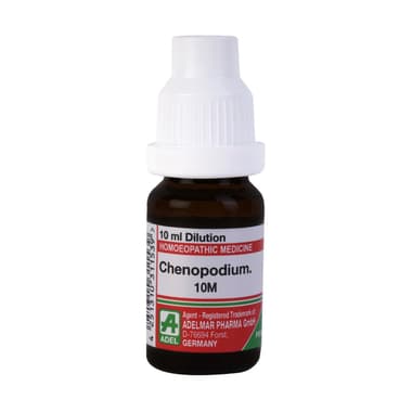 ADEL Chenopodium. Dilution 10M