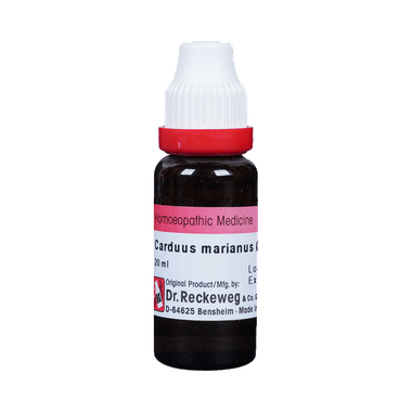 Dr. Reckeweg Carduus Mar Mother Tincture Q | For Liver Care