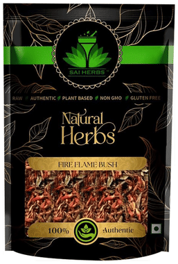 Sai Herbs Fire Flame Bush Sai Herbs Fire Flame Bush