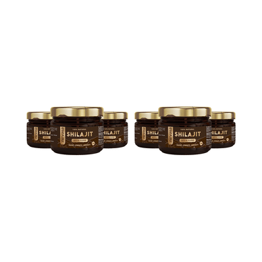 Nirvasa 100% Natural Shilajit Resin Form (20gm Each)