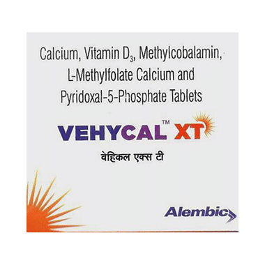Vehycal XT Tablet