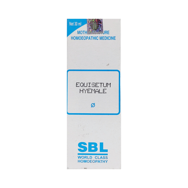 SBL Equisetum Hyemale Mother Tincture Q
