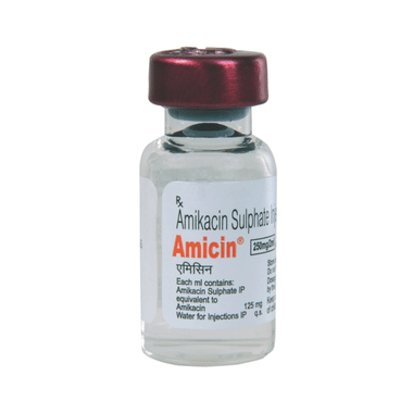 Amicin 250mg Injection