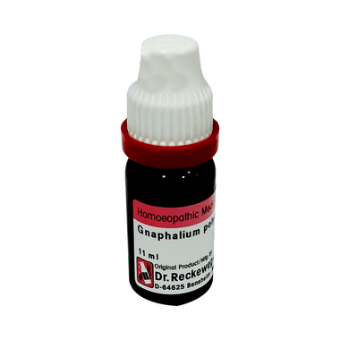 Dr. Reckeweg Gnaphalium Pol Dilution 30 CH