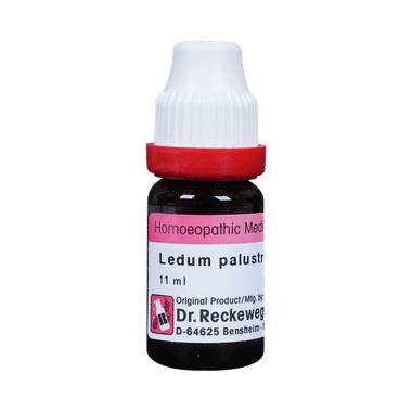 Dr. Reckeweg Ledum Pal Dilution 200 CH