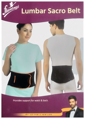 LP 773 Sacro Lumbar Support, LP Lumbar Support Belt, Back pain Belt, Buy  LP Lumbar Support Belt online at best price