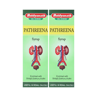 Baidyanath (Jhansi) Pathreena Syrup (200ml Each)