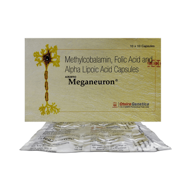 MEGAneuron Capsule