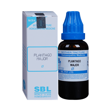 SBL Plantago Major Mother Tincture Q