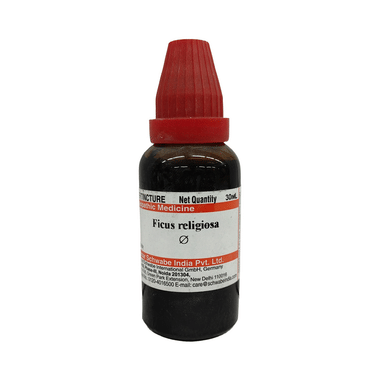 Dr Willmar Schwabe India Ficus Religiosa Mother Tincture Q