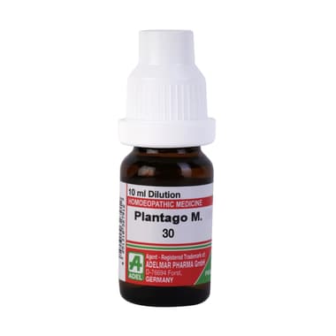 ADEL Plantago M. Dilution 30