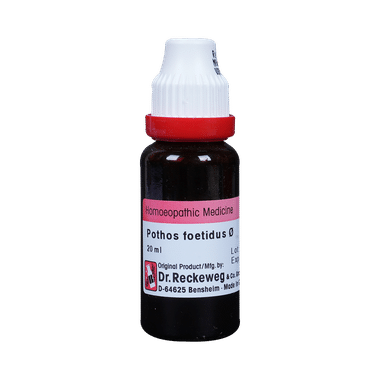 Dr. Reckeweg Pothos Foetida Mother Tincture Q