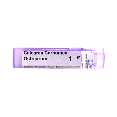 Boiron (Calcarea Carbonica) Calcarea Carbonica Ostrearum Pellets 1M