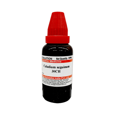 Dr Willmar Schwabe India Caladium Seguinum Dilution 30 CH