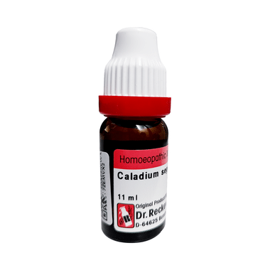Dr. Reckeweg Caladium Seg Dilution 1M