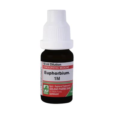 ADEL Euphorbium Officinarum Dilution 1M