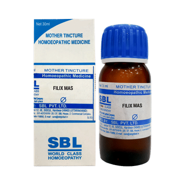 SBL Filix Mas Mother Tincture Q