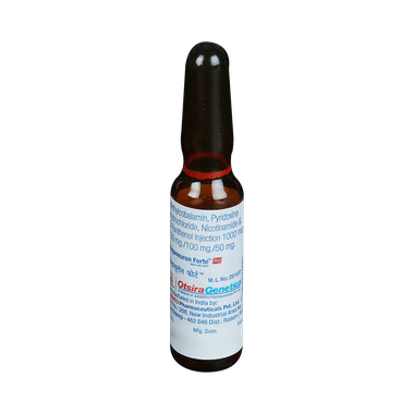 Meganeuron Forte Injection