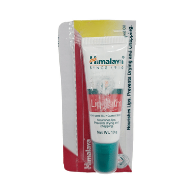 Himalaya Personal Care Lip Balm | Nourishes Lips & Helps Prevent Chapping