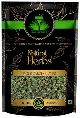 Sai Herbs Ficus Carcia Leaves Sai Herbs Ficus Carcia Leaves