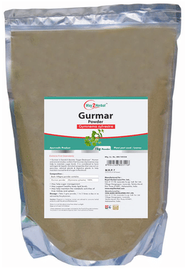 Way2Herbal Gurmar Powder Way2Herbal Gurmar Powder