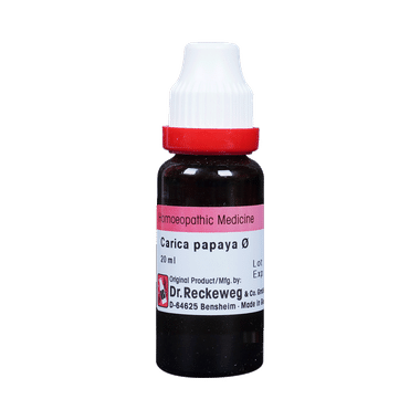 Dr. Reckeweg Carica Papaya Mother Tincture Q | For Liver Care Mother Tincture Q