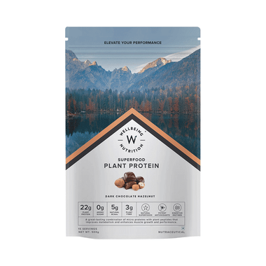 Wellbeing Nutrition Superfood Plant Protein for Muscle Growth & Metabolism | Flavour Powder Dark Chocolate Hazelnut