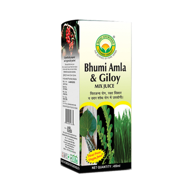 Basic Ayurveda Bhumi Amla & Giloy Mix Juice