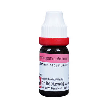 Dr. Reckeweg Caladium Seg Dilution 30 CH