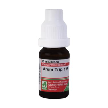 ADEL Arum Triphyllum Dilution 1M