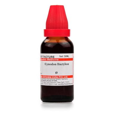 Dr Willmar Schwabe India Cynodon Dactylon Mother Tincture Q