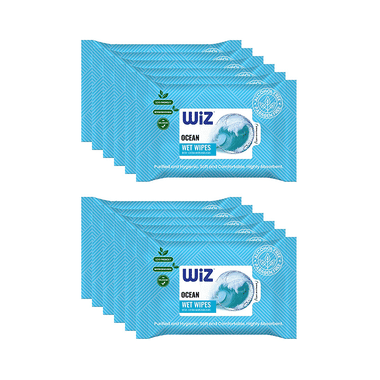 Wiz Ocean Wet Wipes (25 Each)