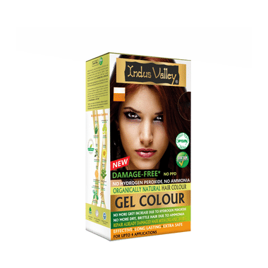 Indus Valley Organically Natural Hair Colour Gel | No Ammonia | Burgundy