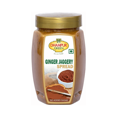 <span style='color:#626A7A'>Dhampur Green Ginger Jaggery Spread</span>