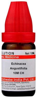 Dr Willmar Schwabe India Echinacea Angustifolia Dilution 10M CH
