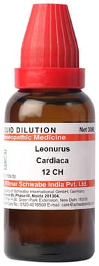 Dr Willmar Schwabe India Leonurus Cardiaca Dilution 12 CH Dr Willmar Schwabe India Leonurus Cardiaca Dilution 12 CH