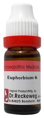Dr. Reckeweg Euphorbium Dilution 6 CH