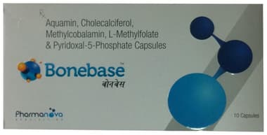 Bonebase Capsule Bonebase Capsule