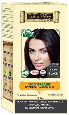 Indus Valley Indus Black Botanical Hair Colour: Buy box of 120 gm Powder at  best price in India | 1mg