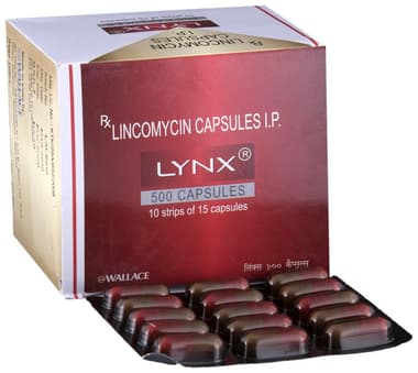 Lynx 500 Capsule