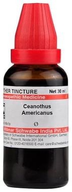 Dr Willmar Schwabe India Ceanothus Americanus Mother Tincture Q: Buy bottle  of 30 ml Mother Tincture at best price in India | 1mg