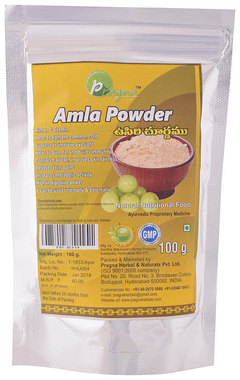 Pragna Amla Powder Pack of 2