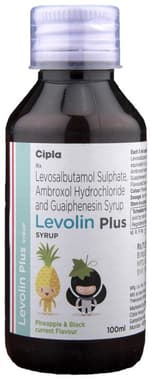 Levolin Plus Syrup Pineapple & Black currant
