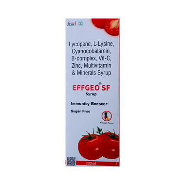 Effgeo SF Syrup Pineapple Sugar Free