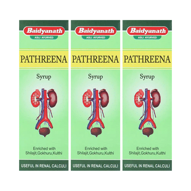 Baidyanath (Jhansi) Pathreena Syrup (200ml Each)