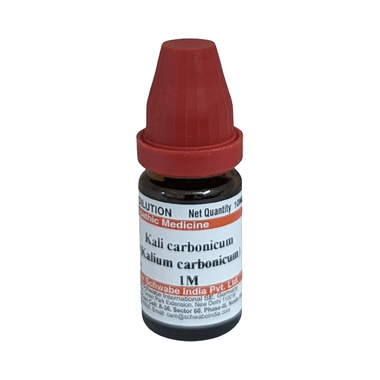 Dr Willmar Schwabe India Kali Carbonicum Dilution 1M